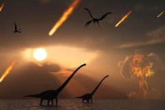 Dinosaures_2