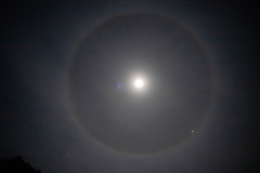 halo_nunaire_nov_2023_4