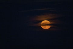 Gilles Santacana - Lune 11