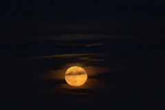 Gilles Santacana - Lune 12