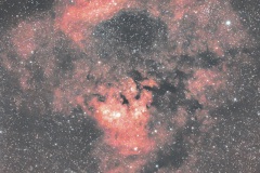 Cederblad-214-NGC-7822