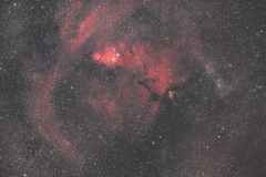 NGC2264