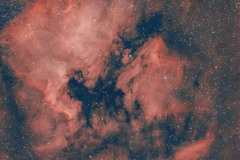 NGC7000-IC5070