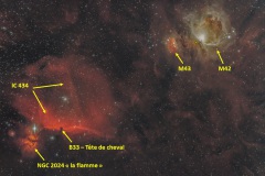 Orion-Gilles-Dec-2024-1