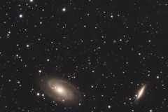 M 81