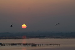 Soleil_oct_2023_2