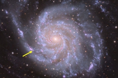 super_nova_avant