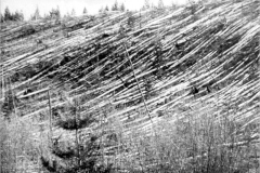 Toungouska-1